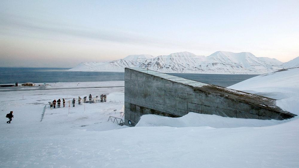 Doomsday seed vault carved into the Arctic landscape opens its doors to receive a rare deposit