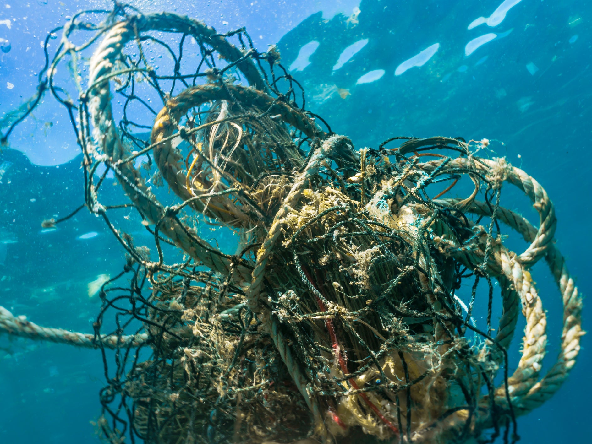 Up to one million tonnes of ‘deadly’ fishing gear left in ocean each year, WWF warns