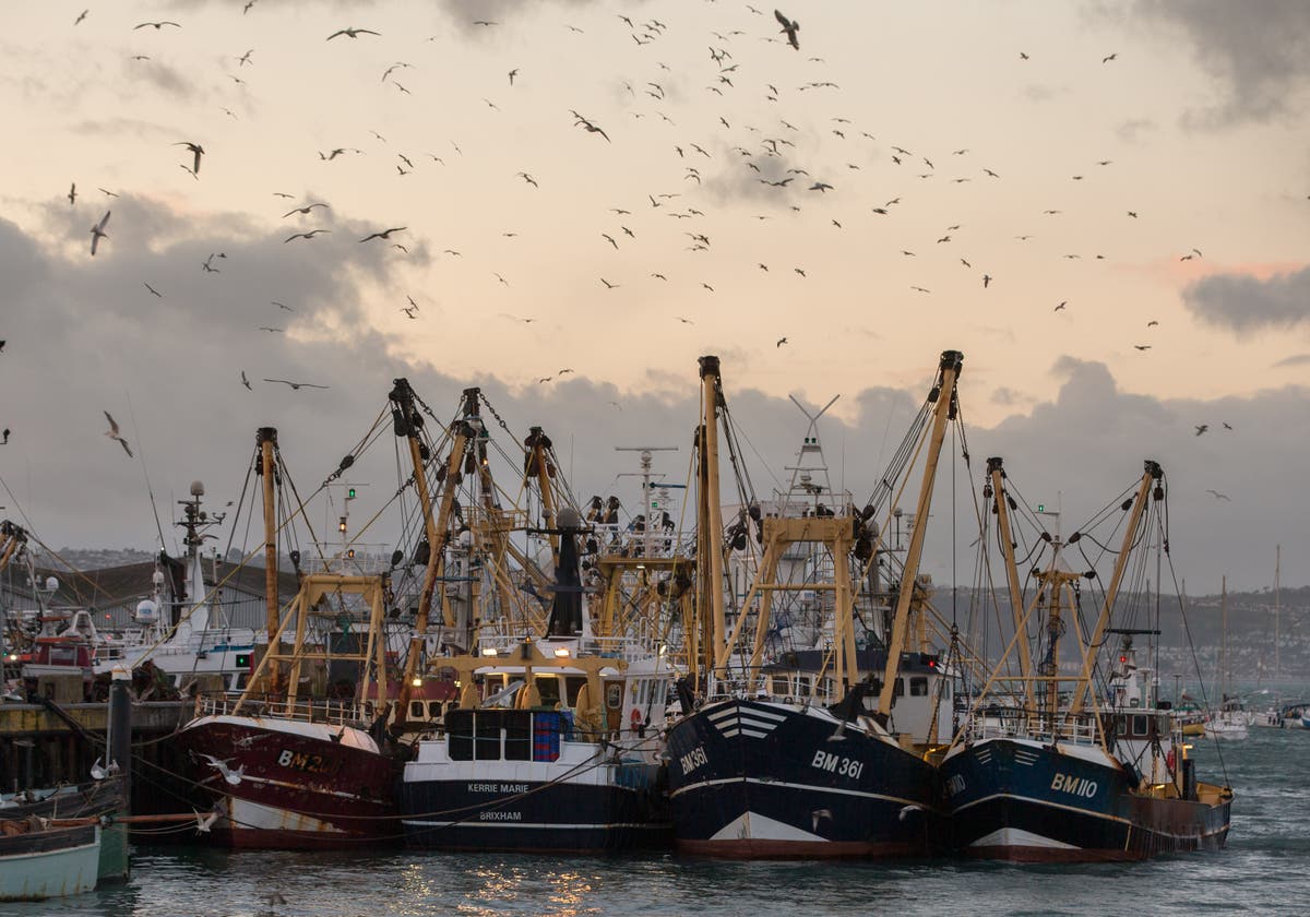 How ‘sustainable’ seafood is contributing to the climate crisis