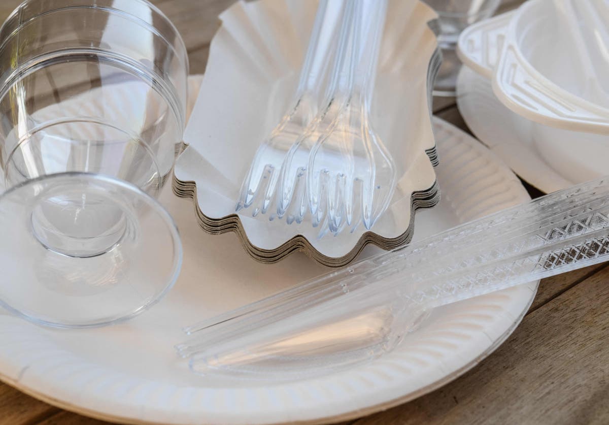 Single-use plastic plates, cutlery and polystyrene cups could be banned in England under government plans