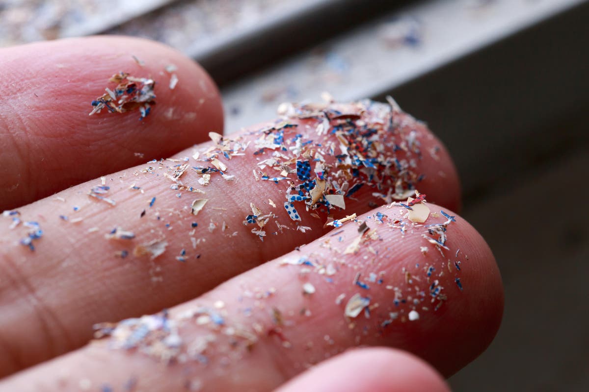 Microplastics found to be harmful to human cells