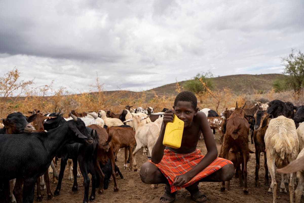 What can Kenyan herders teach us about living in a volatile world?