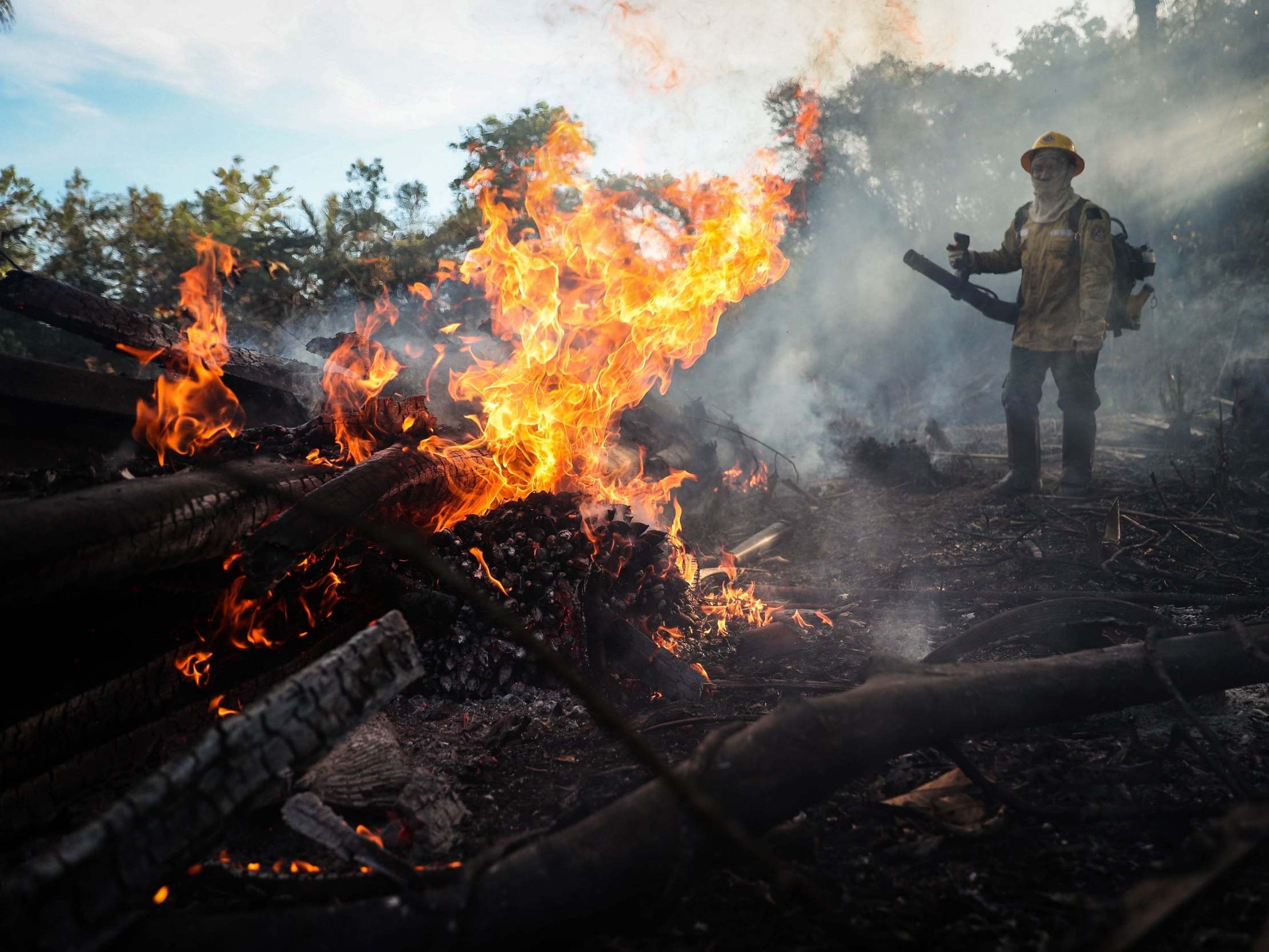 Brazil rainforest deforestation soared 85% in 2019