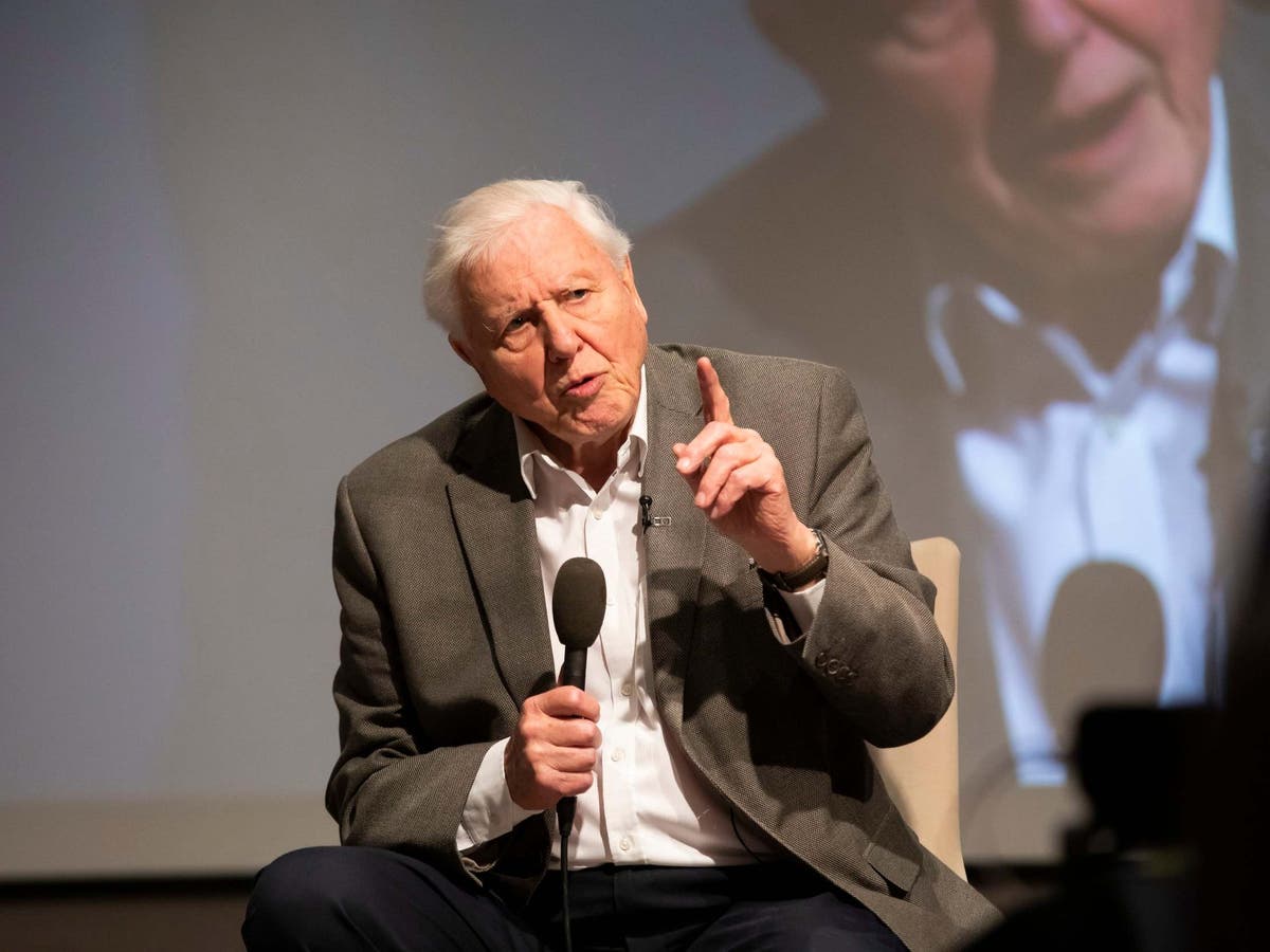 Sir David Attenborough retains ‘some hope’ world can tackle climate crisis