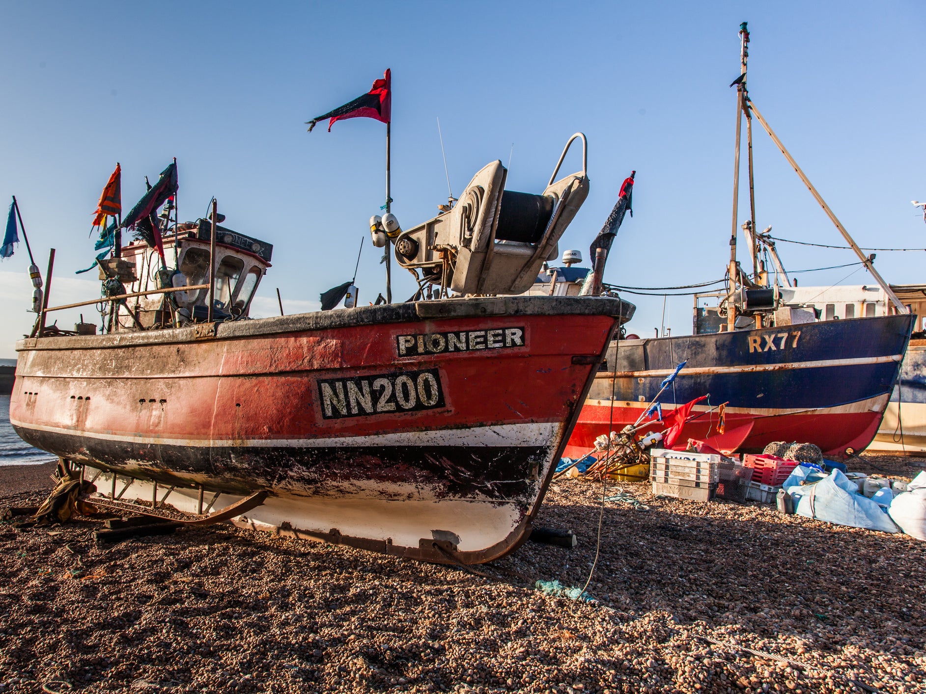Create protective 'blue belt' zone around UK coast to rebuild depleted fish stocks, scientists urge