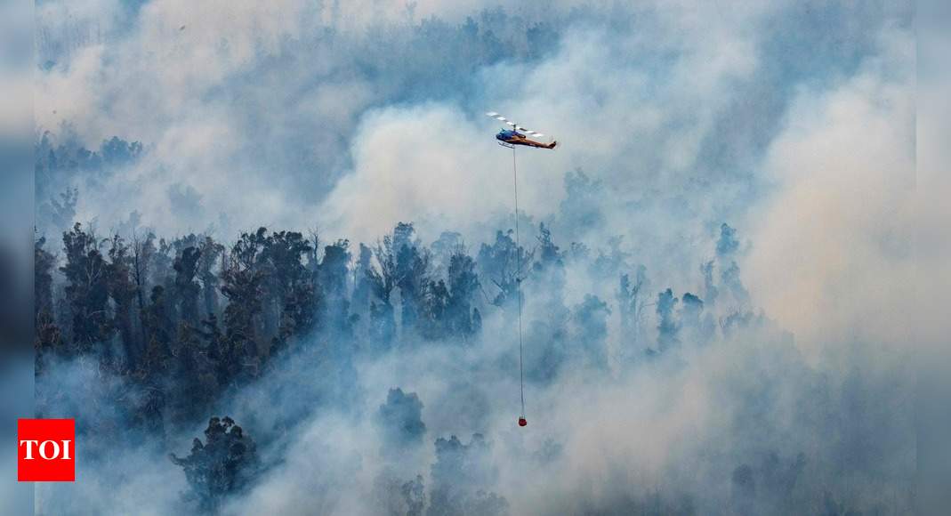 Australia bush fires contribute to big rise in global CO2 levels: UK's met office