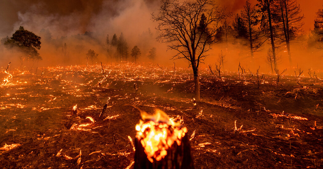 Wildfires Are Intensifying. Here’s Why, and What Can Be Done.