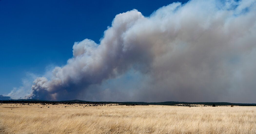 Wildfire’s Rapid Spread Worries New Mexico Officials - The New York Times