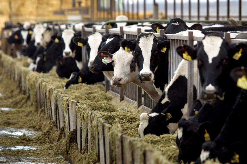 Satellites detect California cow burps, a major methane source, from space