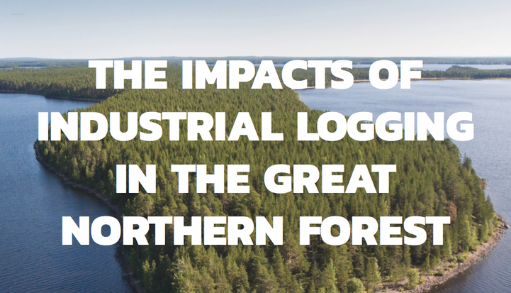 The Impacts of Logging in the Great Northern Forest