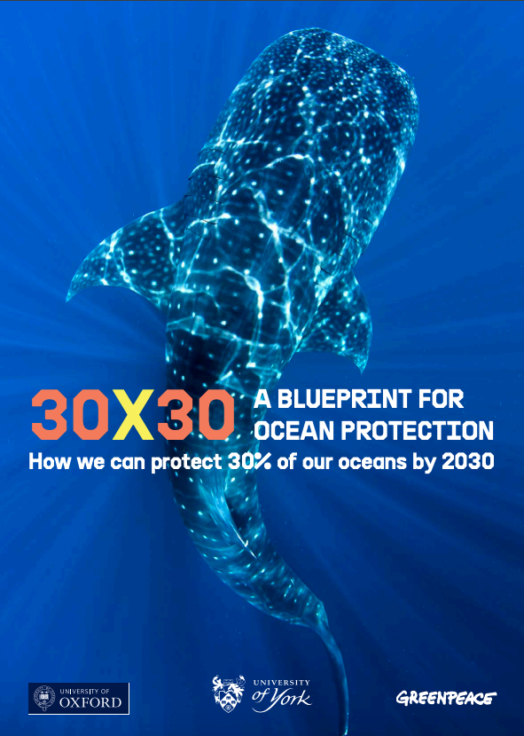 30X30: How to protect 30% of the oceans by 2030