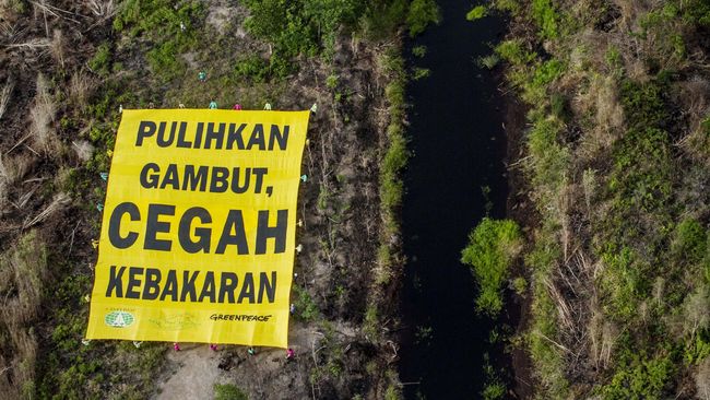 Global health crisis, an additional reason to protect and restore carbon-rich peatlands--Greenpeace