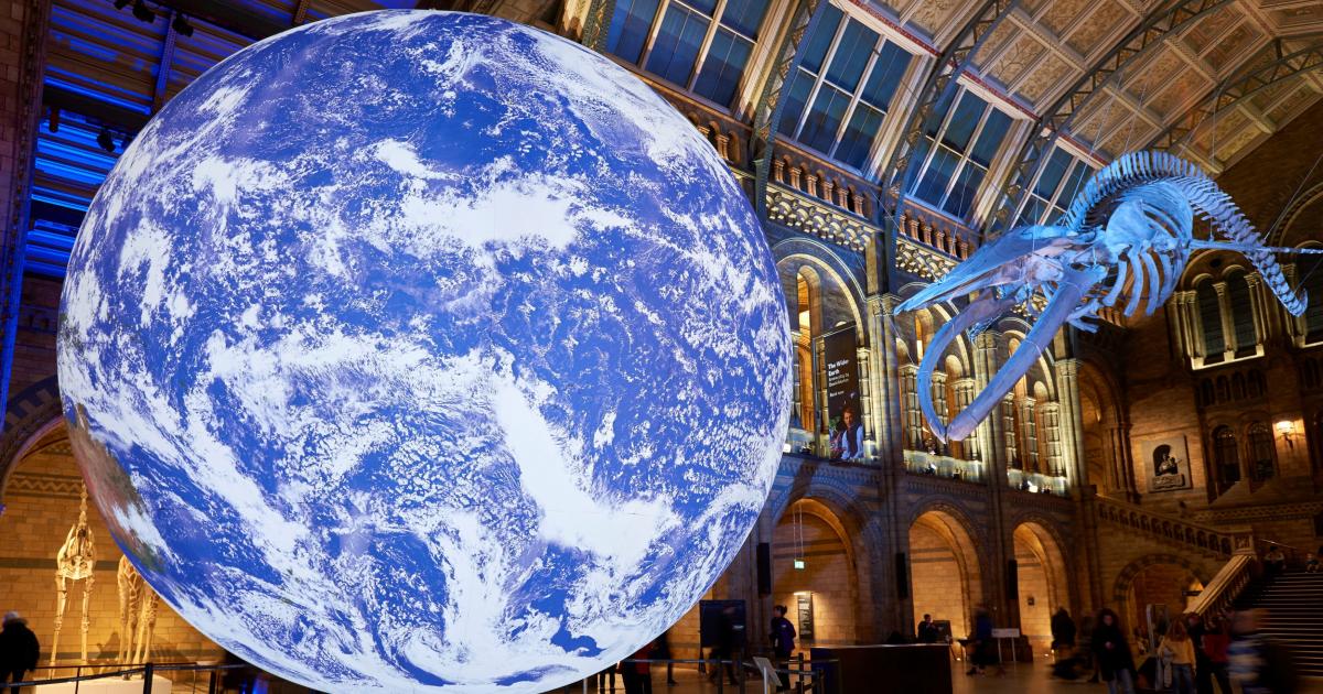 Natural History Museum declares climate emergency