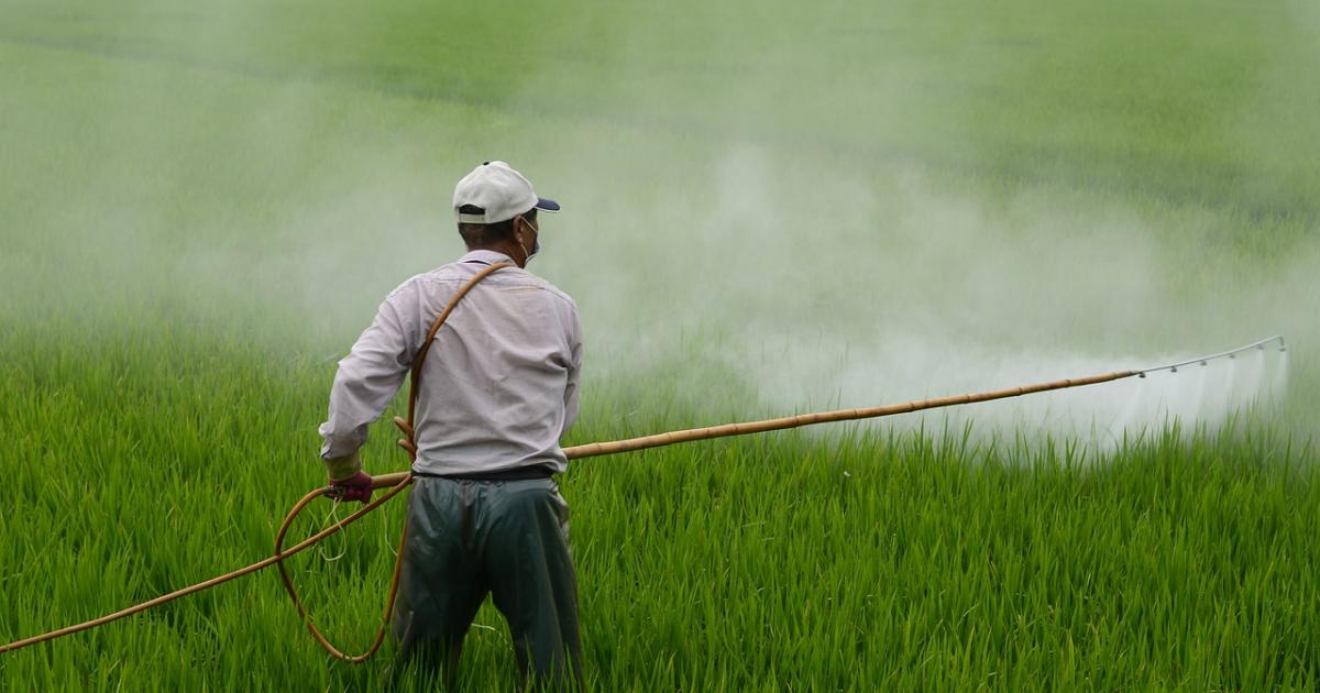 UK exporting toxic pesticides