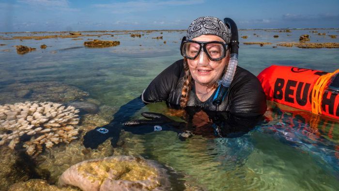 Great Barrier Reef 'island ark' to act as a haven for wildlife