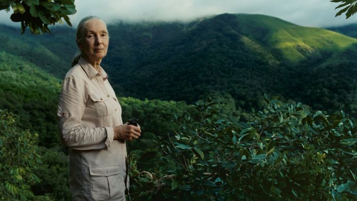 Jane Goodall says global disregard for nature brought on coronavirus pandemic