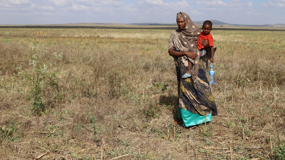 Locust invasion creates food crisis for 1 million Ethiopians