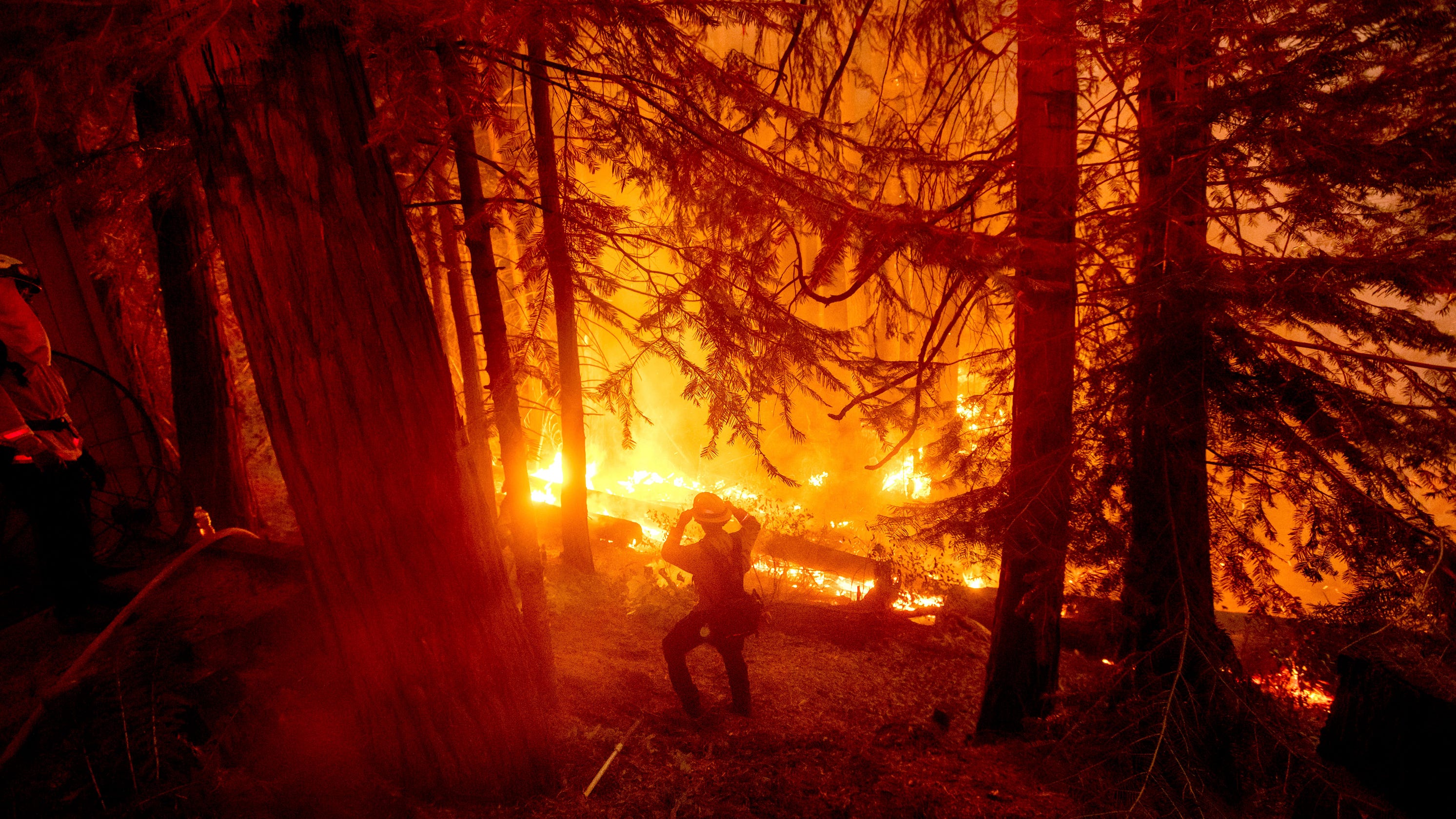 Fact check: Western Canada, Mexico have experienced climate-change linked fires, too