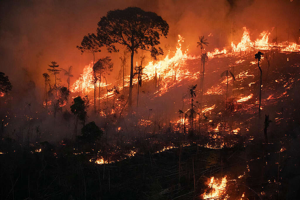 Amazon rainforest fires 2022: Facts, causes, and climate impacts