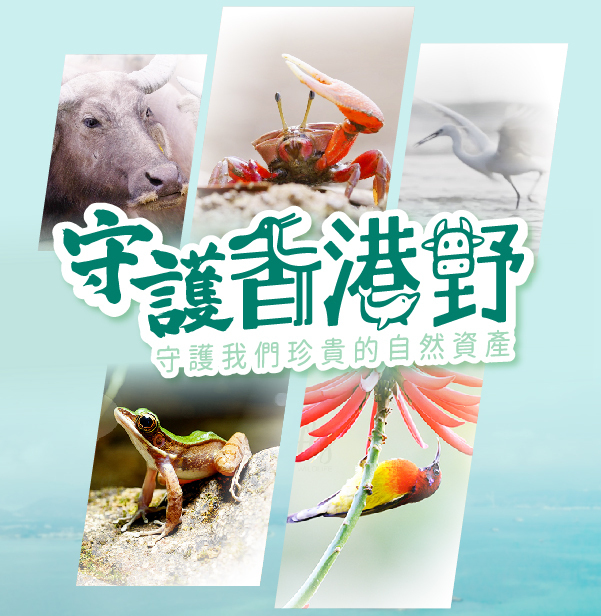 為精彩香港野堅持，一起守護香港生物多樣性