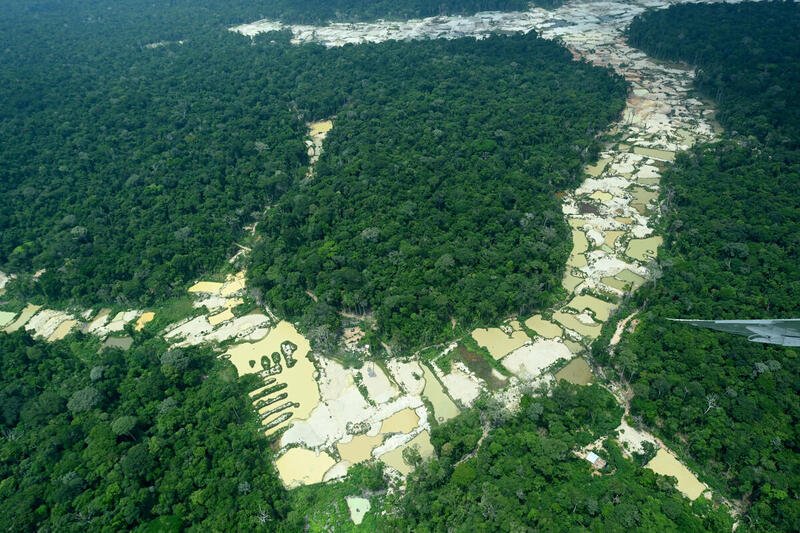 亞馬遜雨林高速被消失，而巴西政府在漂綠！