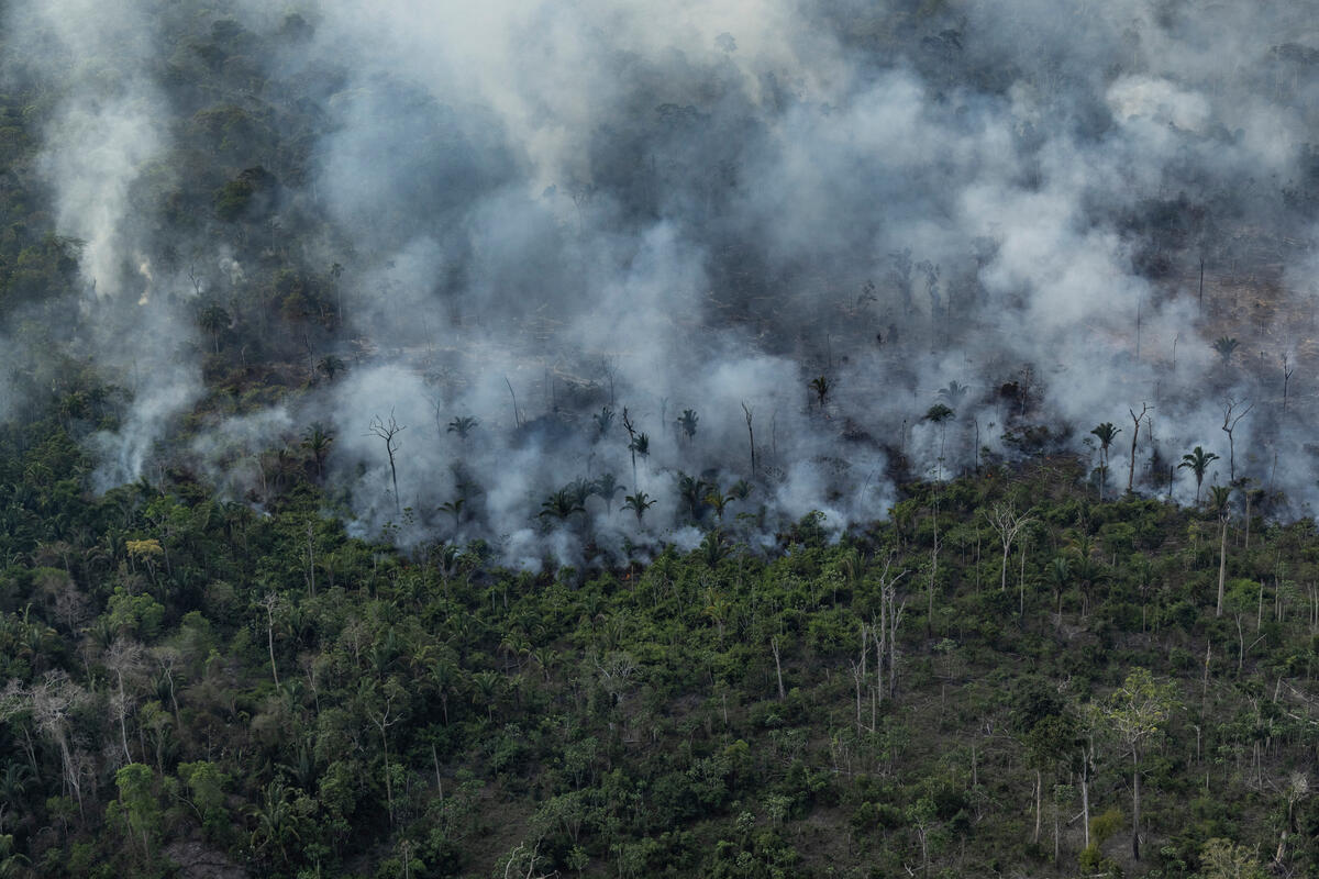 【COP26系列】亞馬遜毀林面積持續增加，巴西政府卻在COP26漂綠！