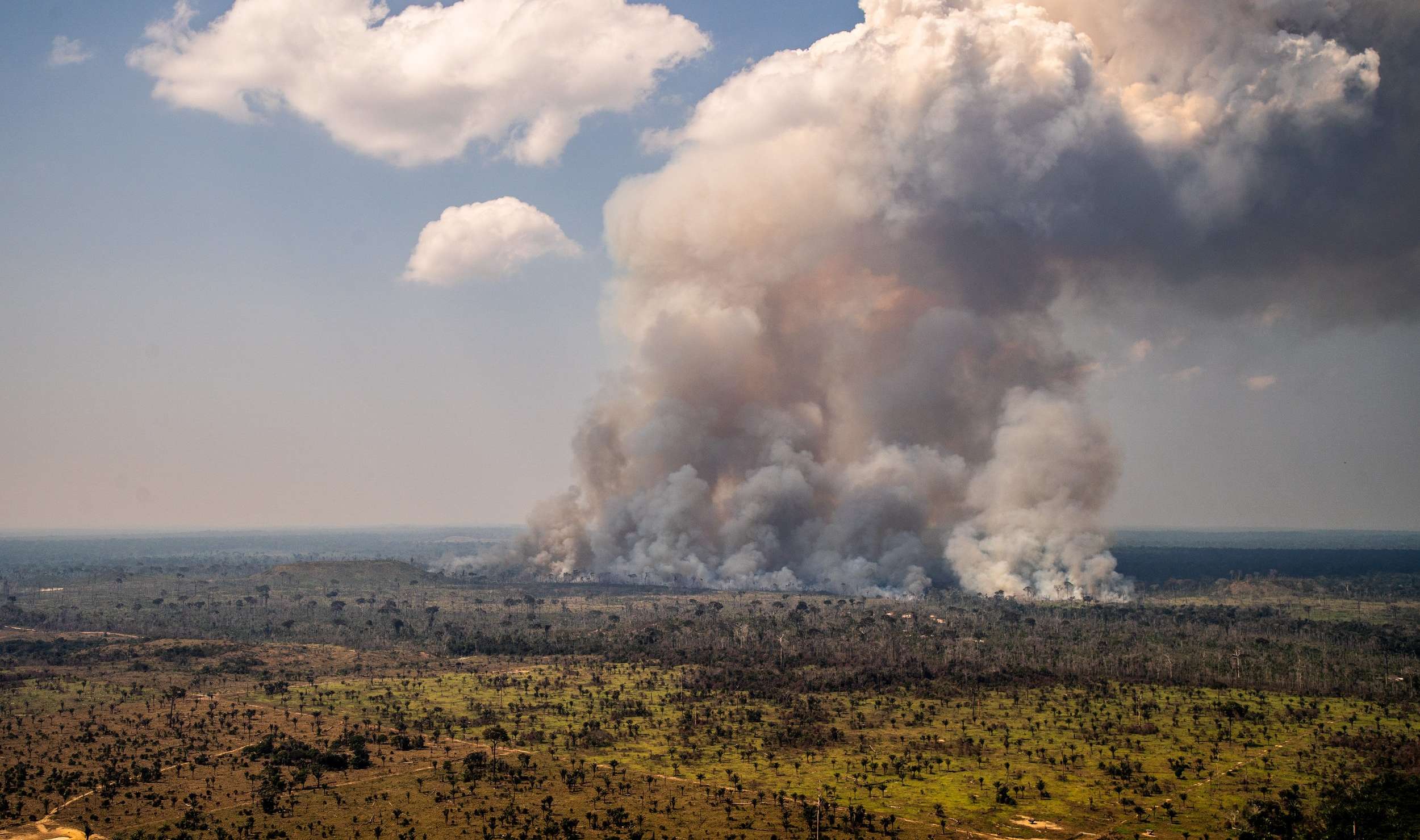 亞馬遜大火12年以來最高！一年內釋放8.13億噸溫室氣體