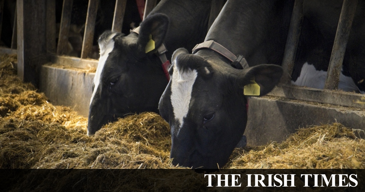 Grafton Group to challenge proposed Offaly manure-to-gas plant
