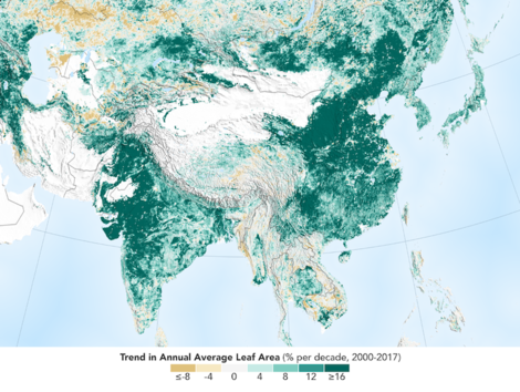 中国とインドが地球の緑地増加に寄与していた
