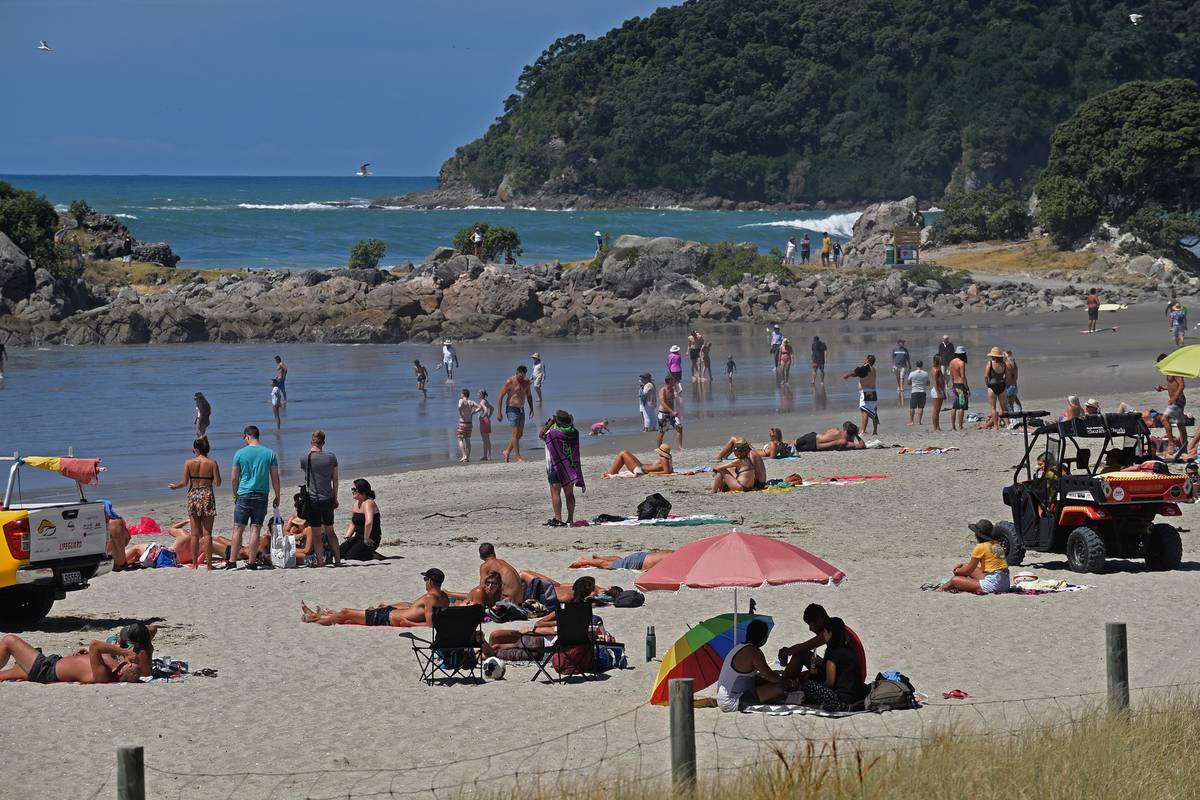 Climate scientist: 2019 was wider NZ region's hottest year