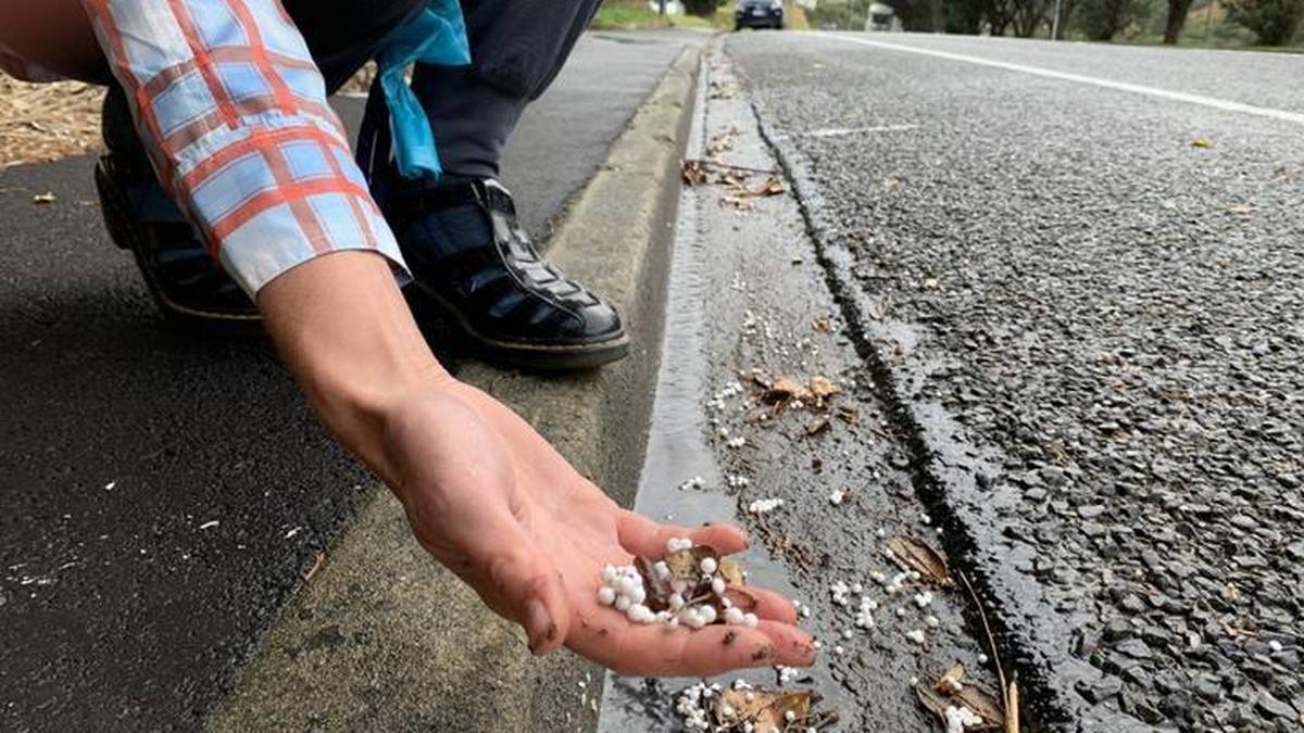 Polystyrene waste scattered across Wellington coastline