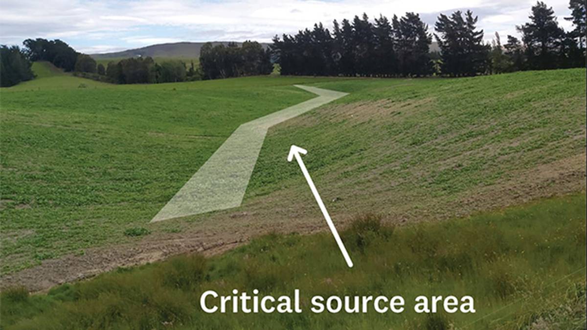 Otago Regional Council to resume winter grazing flyovers