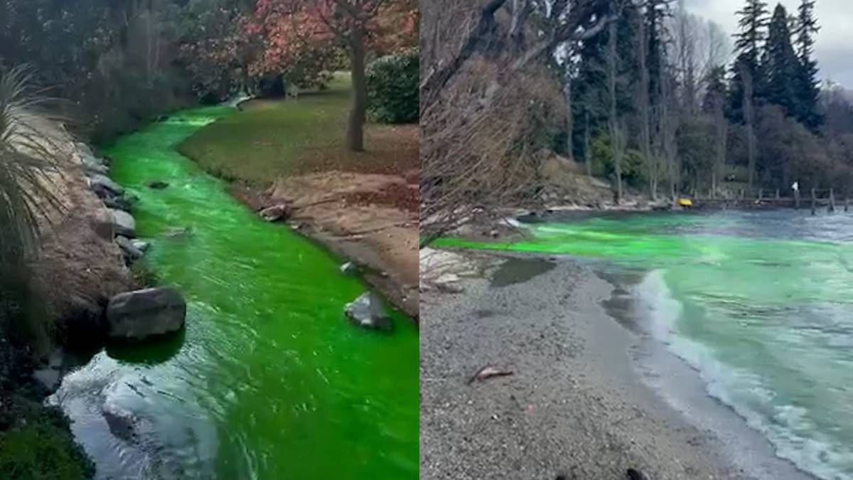 Lake Wakatipu turns neon green: The mystery of the liquid continues in Queenstown