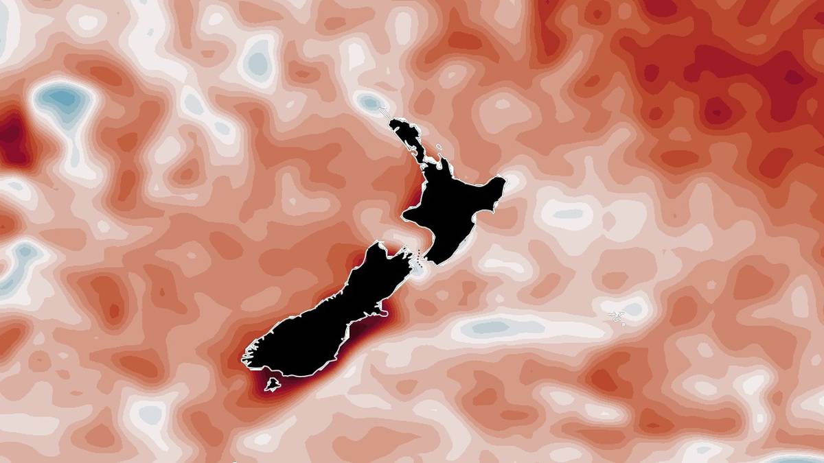 Another NZ 'marine heatwave' is unfolding: here's what that means for you