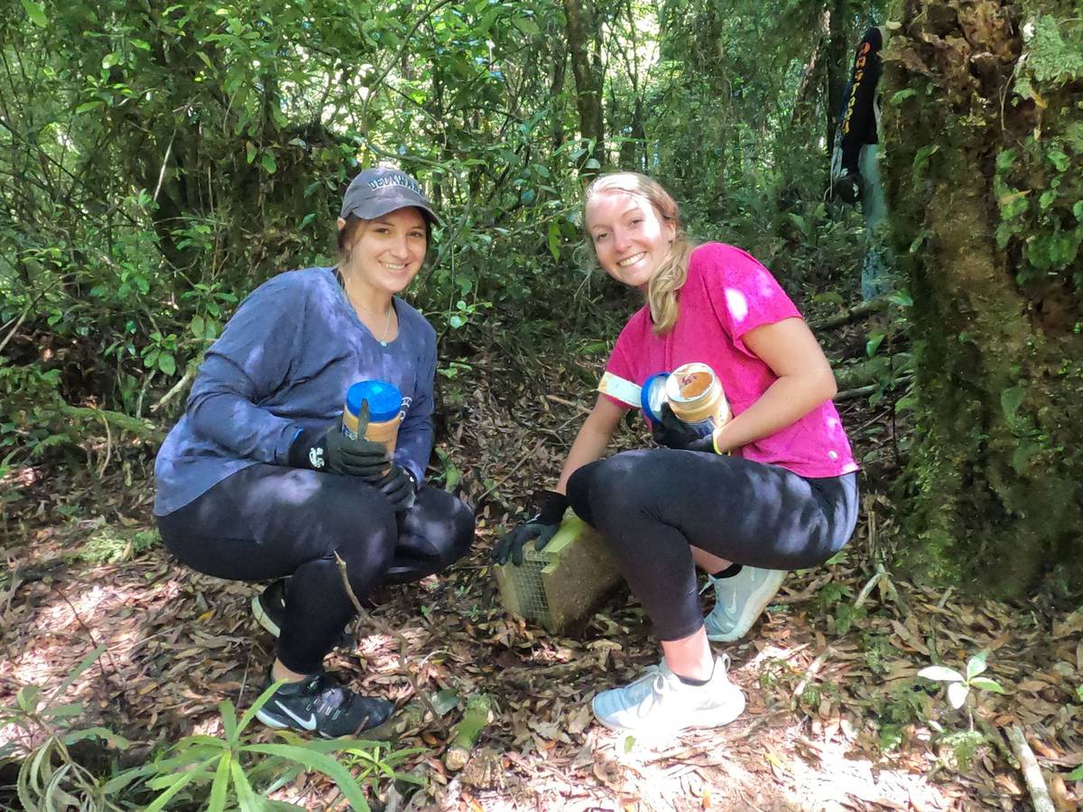 American students spend holiday volunteering in Rotorua forest