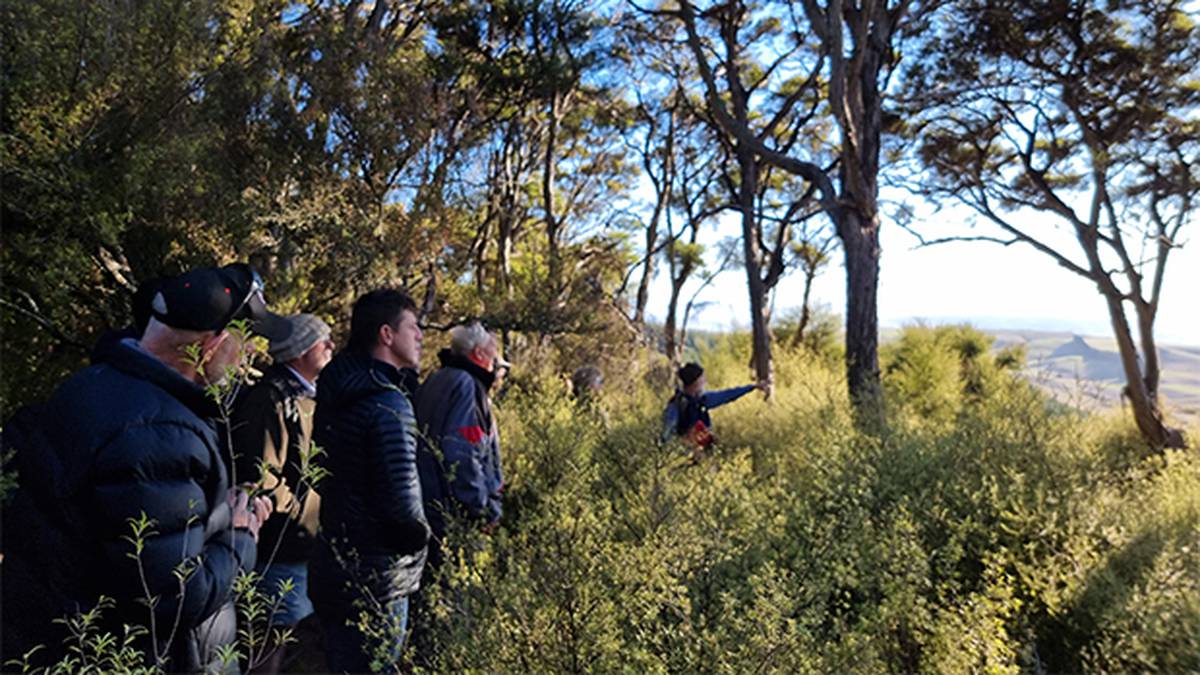 Smothering Gully project celebrating a decade of biodiversity improvements