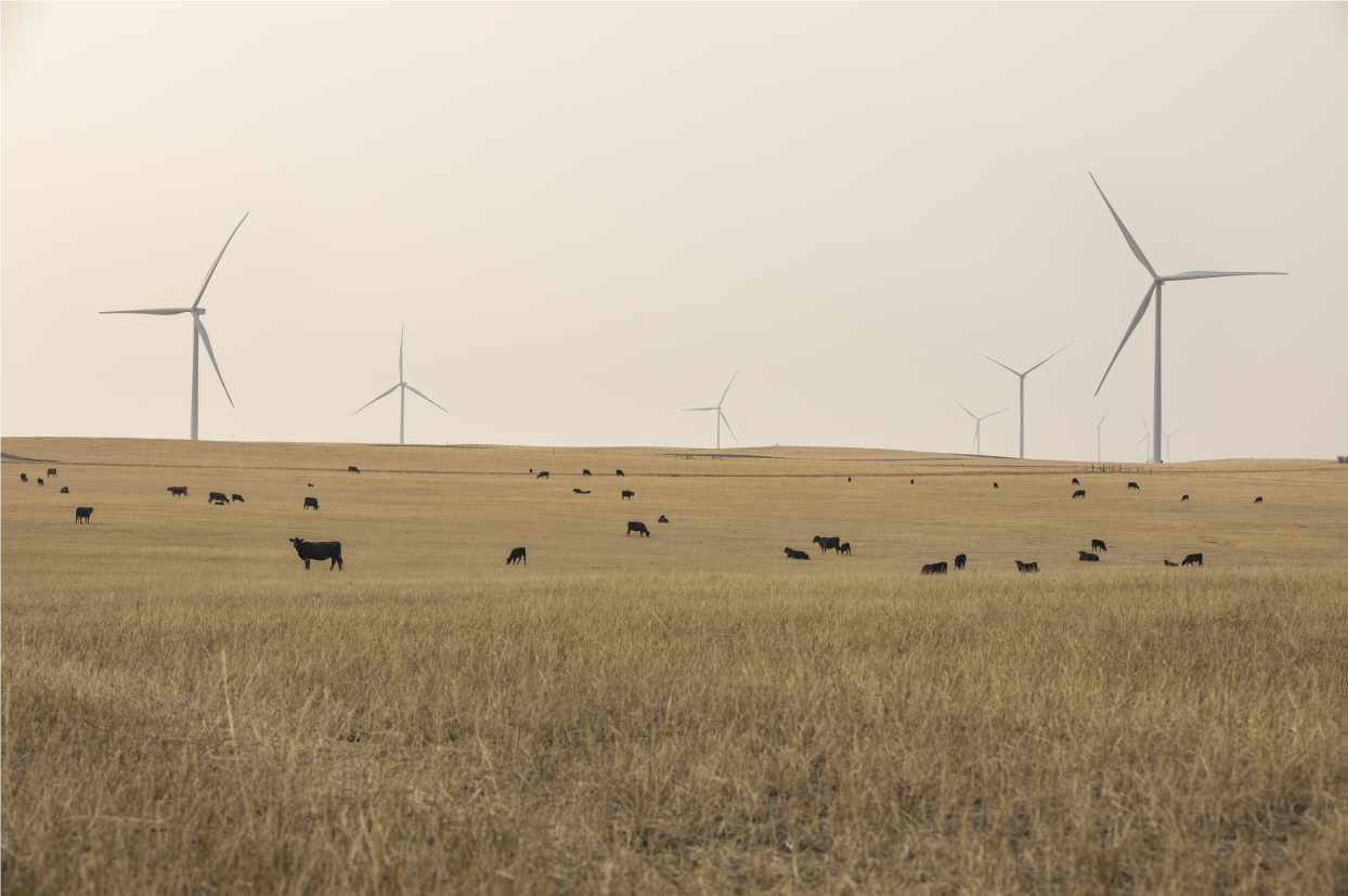 Ørsted completes 103-MW Willow Creek Wind; finalizes financials for 367-MW Western Trail Wind - Renewable Energy World