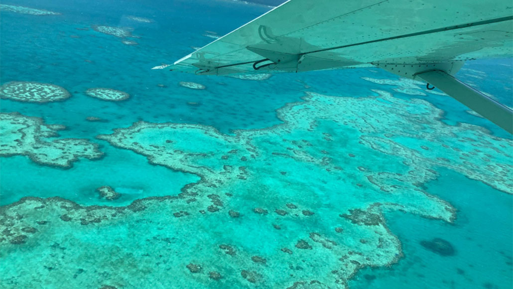 Great Barrier Reef is suffering its most widespread known bleaching