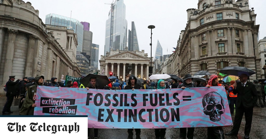Capitalist technology is already solving the climate crisis but Extinction Rebellion hasn't noticed