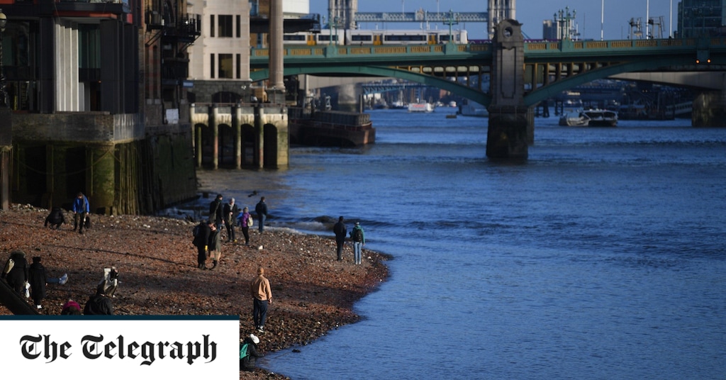 River Thames has become an ‘open sewer’ as treatment plants overwhelmed, report finds