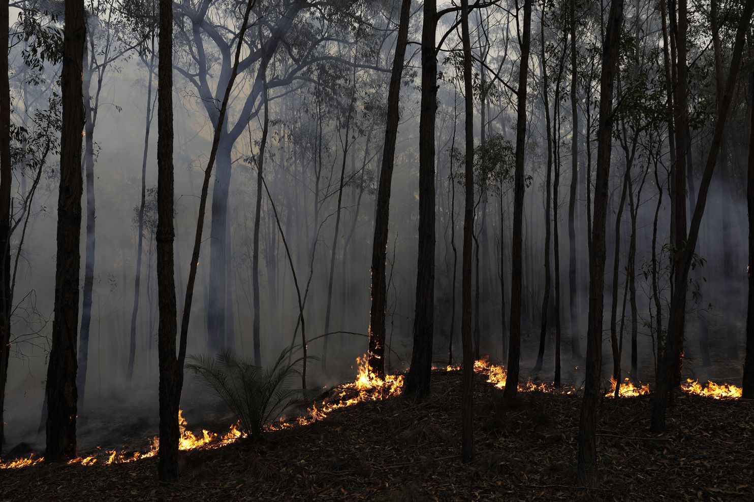 Australia bush fires have nearly doubled country’s annual greenhouse gas emissions