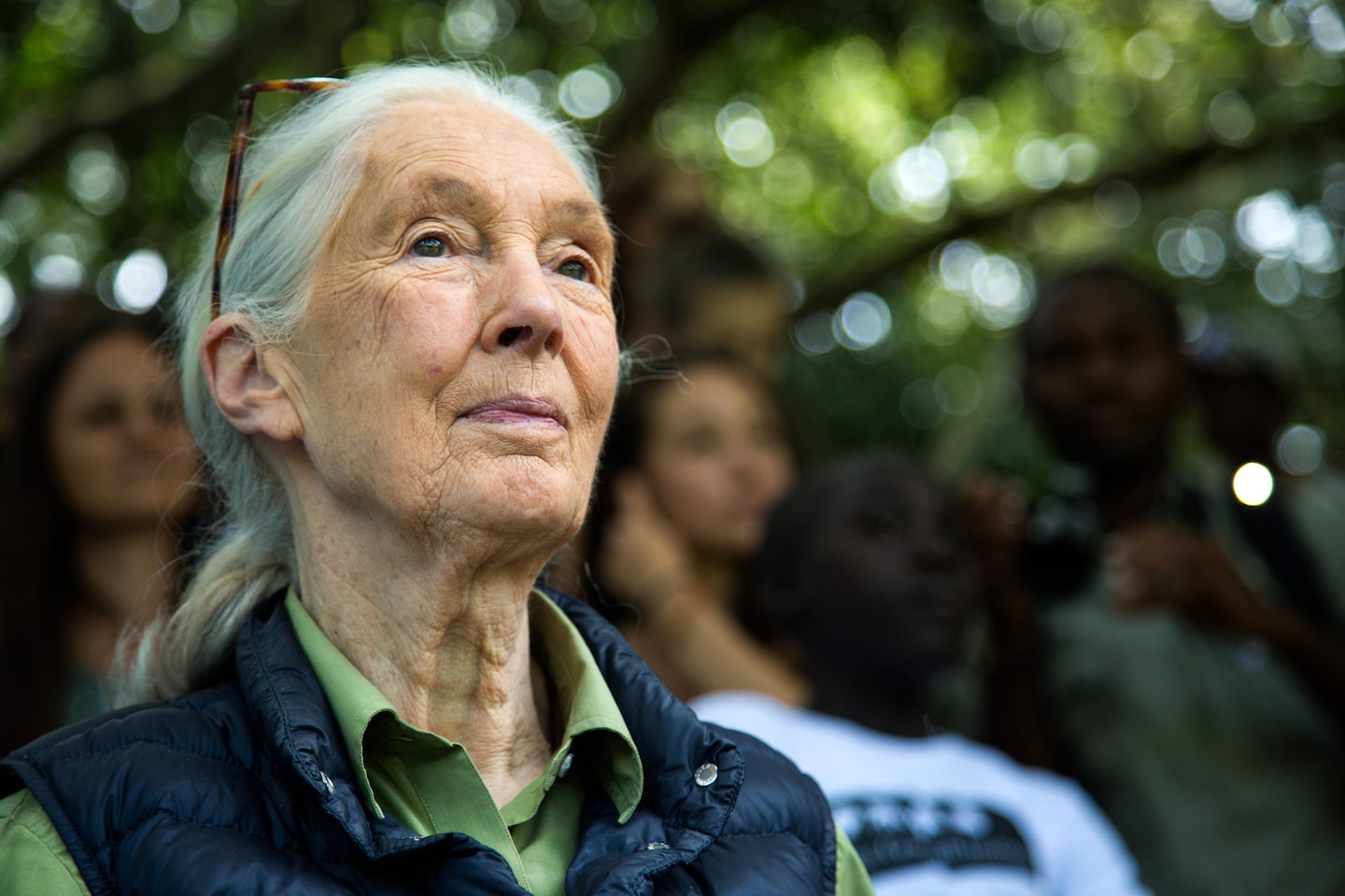 In conversation with Jane Goodall on climate change — and remaining hopeful for the future