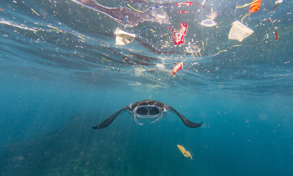 Governments agree we need a plastic pollution treaty - but how do we get there?